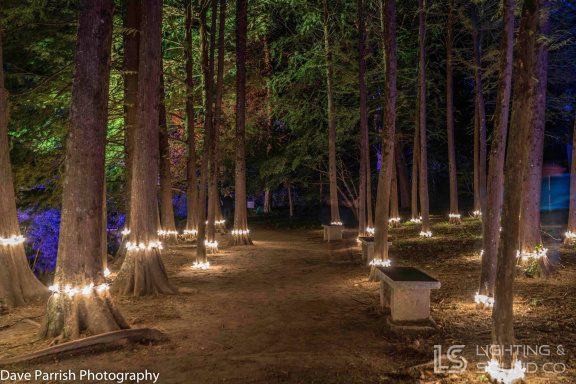 Maymont Garden Glow (1)