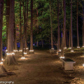 Maymont Garden Glow (1)