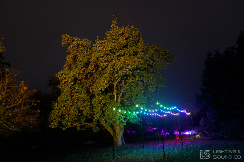 GardenGlow2020_8.jpg