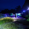 GardenGlow2020 11