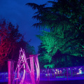GardenGlow2020 14