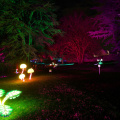 GardenGlow2020 10