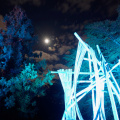 GardenGlow2020 11
