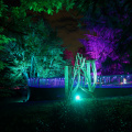 GardenGlow2020 13