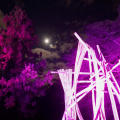 GardenGlow2020 12