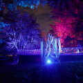 GardenGlow2020 14