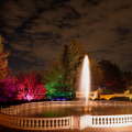 GardenGlow2020 15