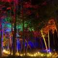 CW Lights 0011 DSC07004