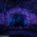 A7R02831