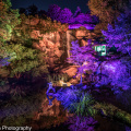 A7R02842