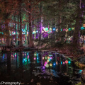 A7R02922-HDR