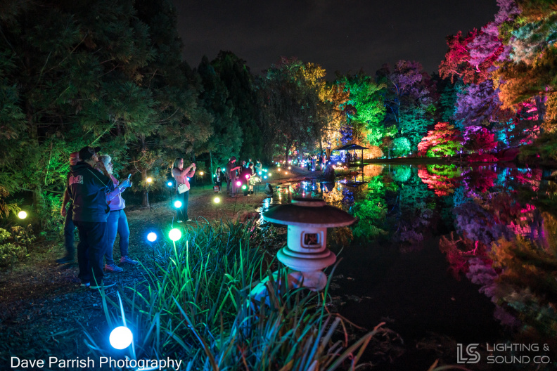 A7R03234.jpg