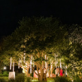 Kirchen-Reception-411