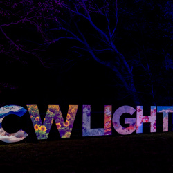 CW Lights