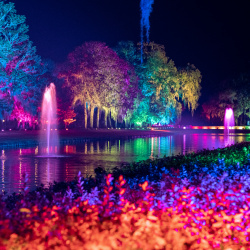 Immersive Walkthrough Events