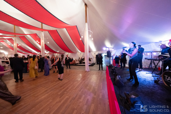 Fralin 90th Anniversary Soiree 110725 218