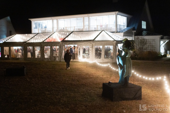 Fralin 90th Anniversary Soiree 110725 117