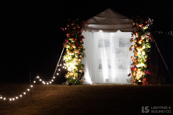 Fralin 90th Anniversary Soiree 110725 015