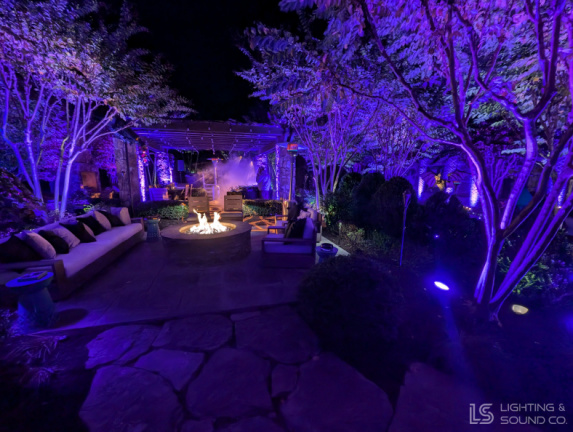 PXL 20241019 013930546