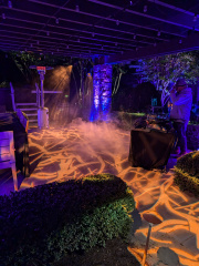 PXL 20241018 233926160