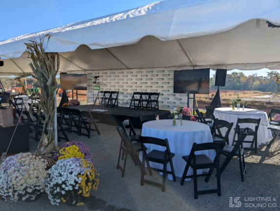 PXL 20241023 141345818