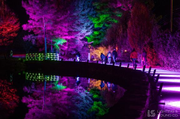 Garden lights 2025 5