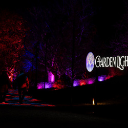 MSV Garden Lights 2025