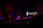 MSV Garden Lights 2025