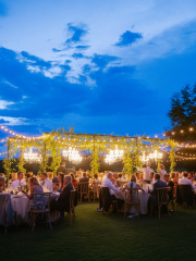 Natalie Javin Wedding-1217