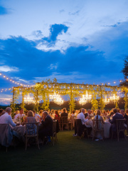 Natalie Javin Wedding-1216