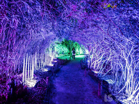 563619152 1373193591472860 2039214540555425605 n