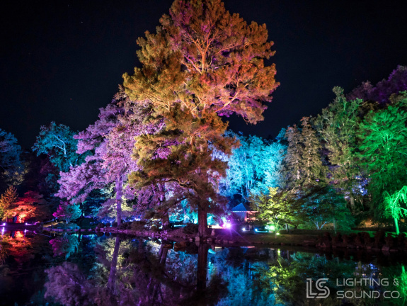 565121564 1373192938139592 5777240759335401368 n