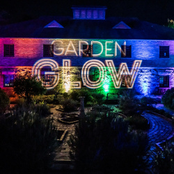 Garden Glow 2025