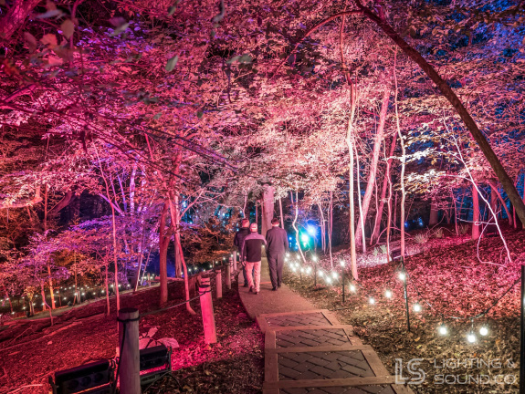 563450331 1373193428139543 1179635946003889926 n