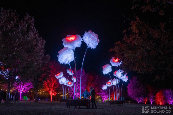 563469717 1373194038139482 8868088724064723503 n