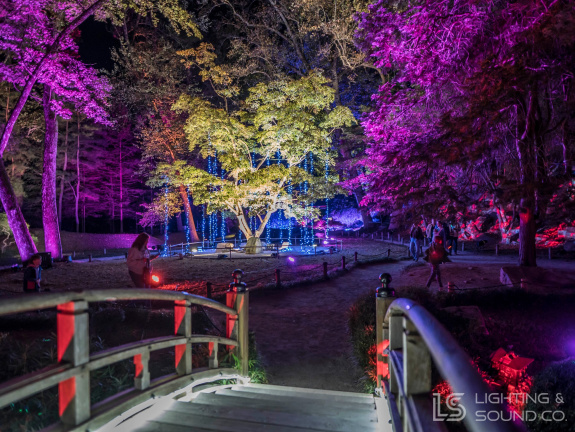 564247823 1373193484806204 9182530362445283338 n