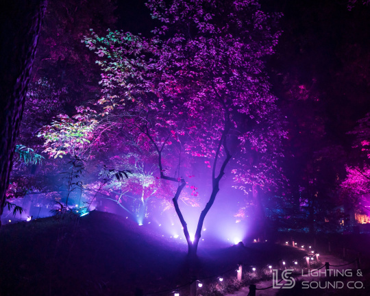 564527514 1373193124806240 5706263579910863120 n