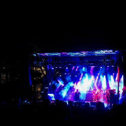 Spiderchella